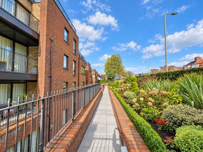 Picture 20